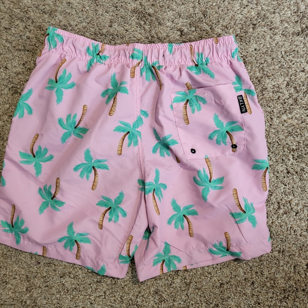 NWT Brooklyn Cloth men's bathing Suit S - Picture 2 of 7